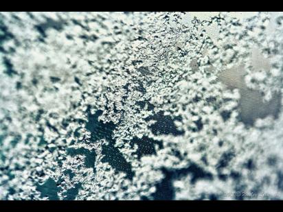close up of snowflakes