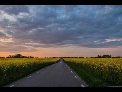 rural road, extending to the horizon